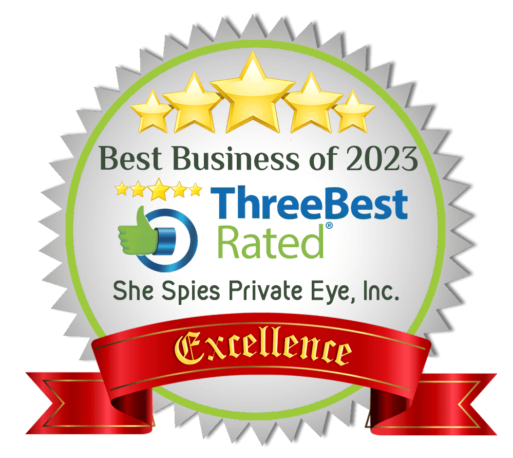 three best rated 2024 she spies private eye dallas